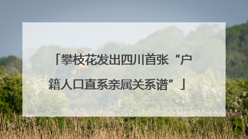 攀枝花发出四川首张“户籍人口直系亲属关系谱”